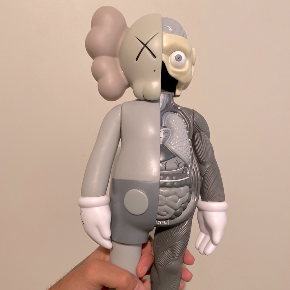 Kaws companion